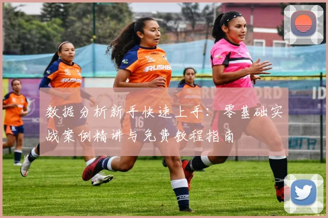 数据分析新手快速上手：零基础实战案例精讲与免费教程指南