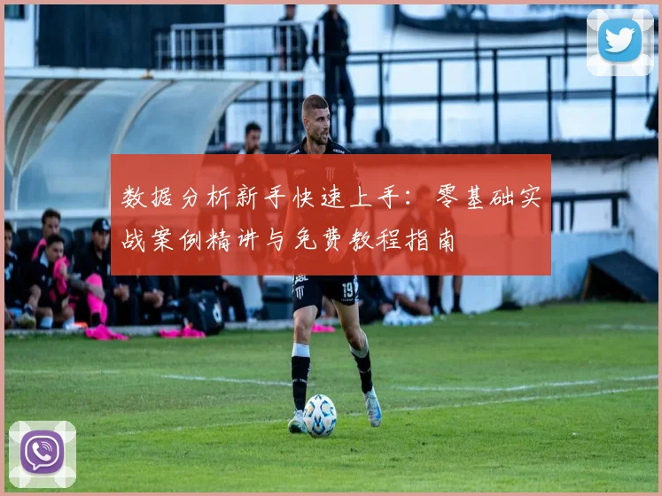 数据分析新手快速上手:零基础实战案例精讲与免费教程指南